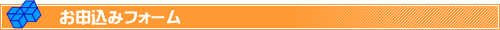 レンタルサーバー お申込みフォーム