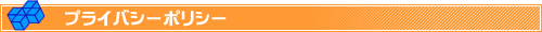 レンタルサーバー プライバシーポリシー